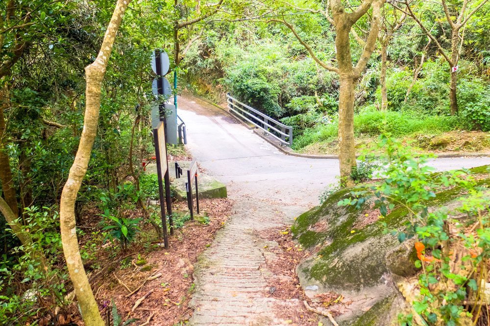 End of a trail