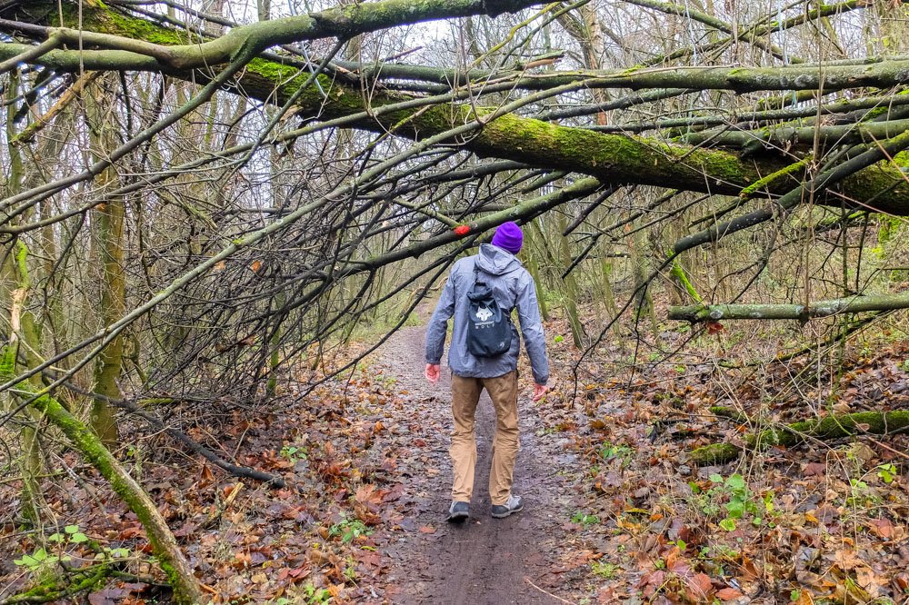 Hiking near Teufelsberg