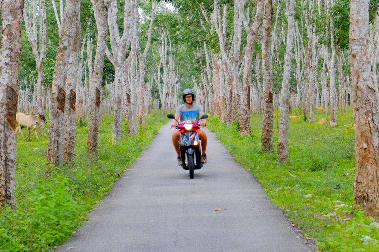 Scooter Rental in Langkawi From 8 MYR per Day Make Adventure Happen