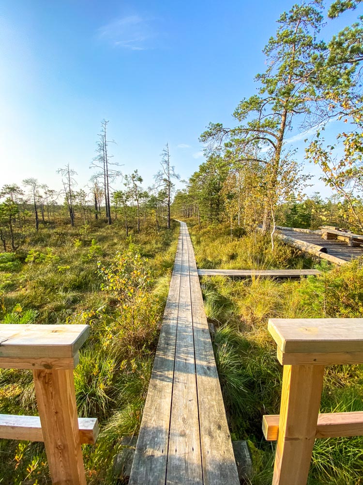 Cena Bog Boardwalk trail