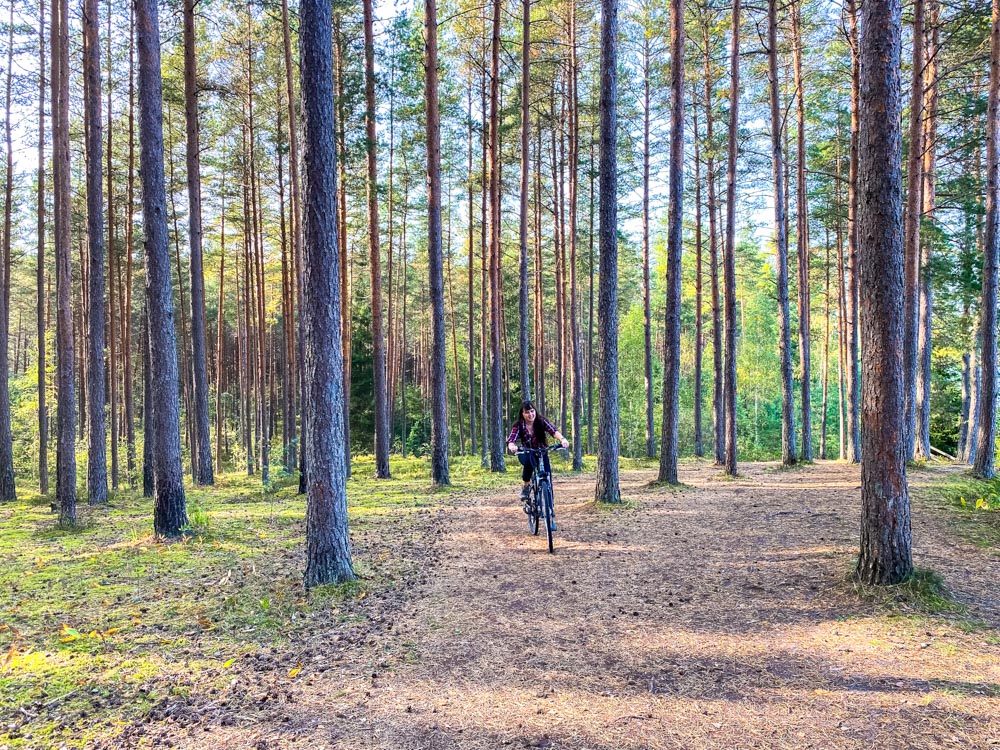 Cycling in the forest in Ogre Blue Hills