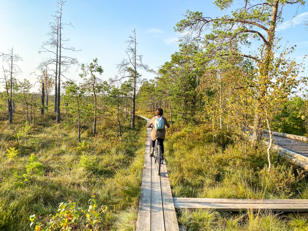 Cycling on the Cena Bog Boardwalk trail