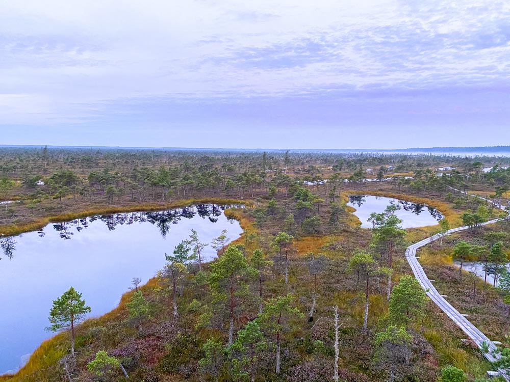 Kemeri bog walking trail