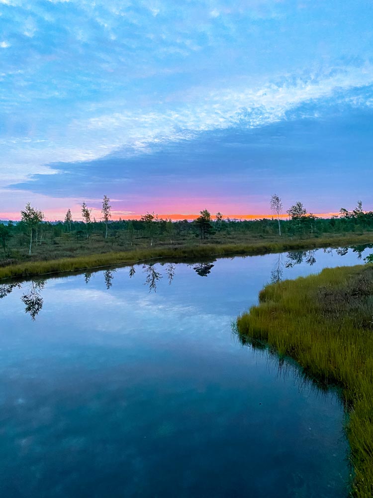 Sun is rising over a pond in bog