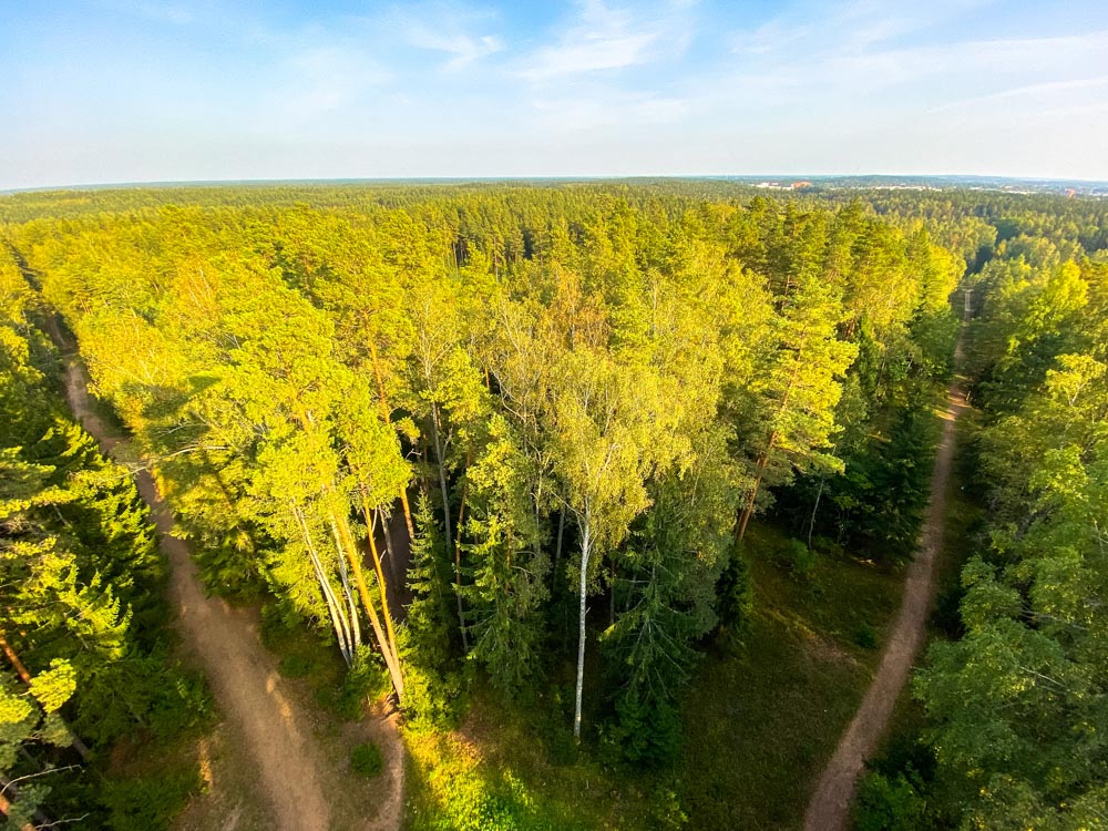View from the Ogre Blue Hills Observation Tower