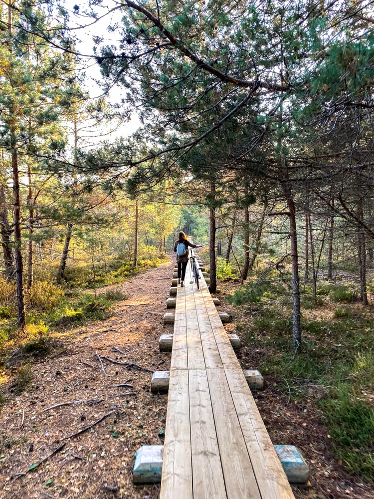 Walking on the Cena Bog Boardwalk