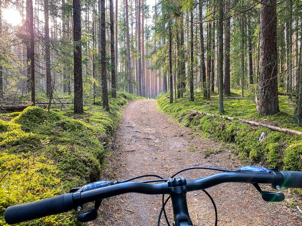 Cycling on a forest path to Cesis