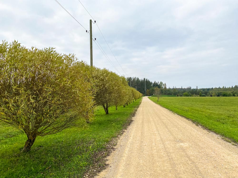 Gravel road near Valmiera
