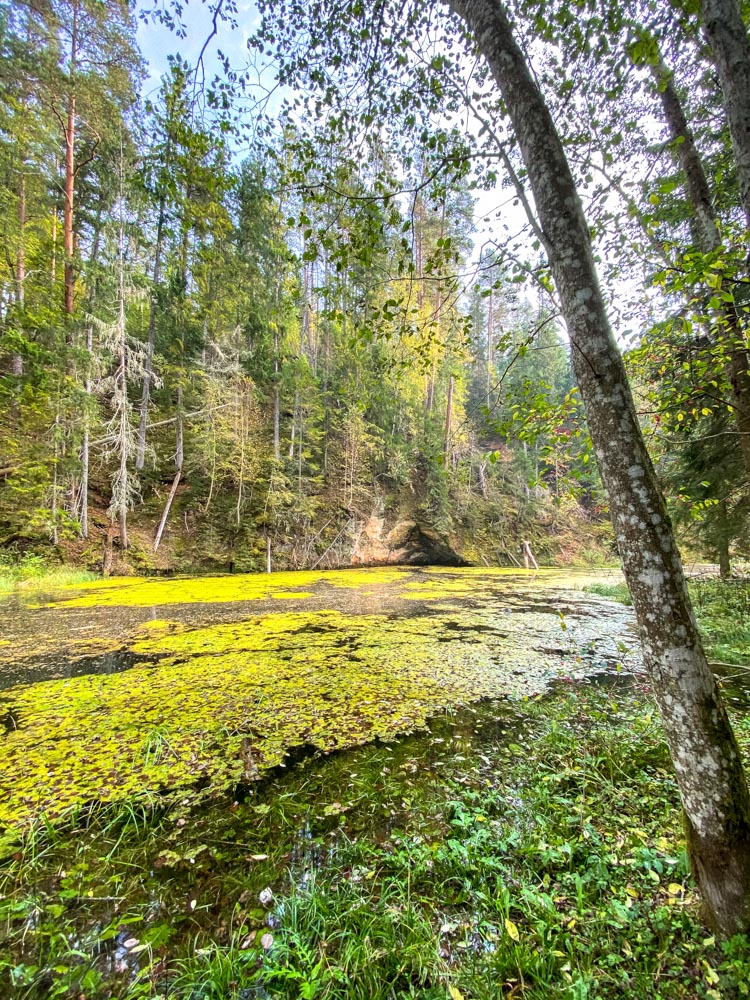 Pond in a park near Cesis
