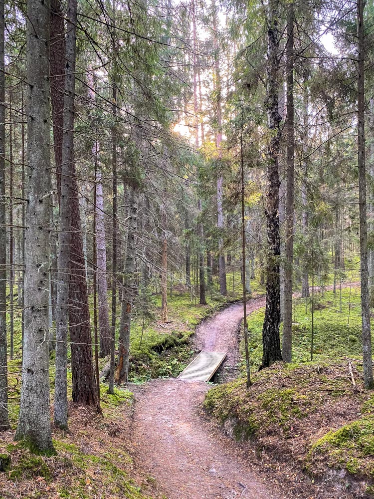 Small wooden bridge in a forest in Latvia