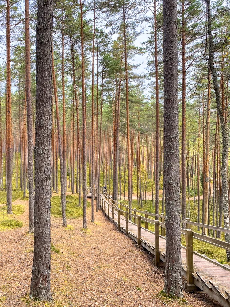 Stairs to Sietiniezis viewpoint