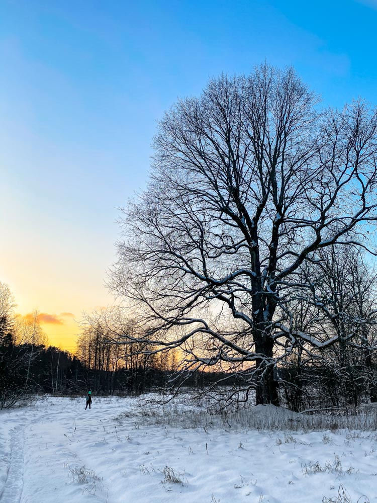 Winter sunset in Latvia