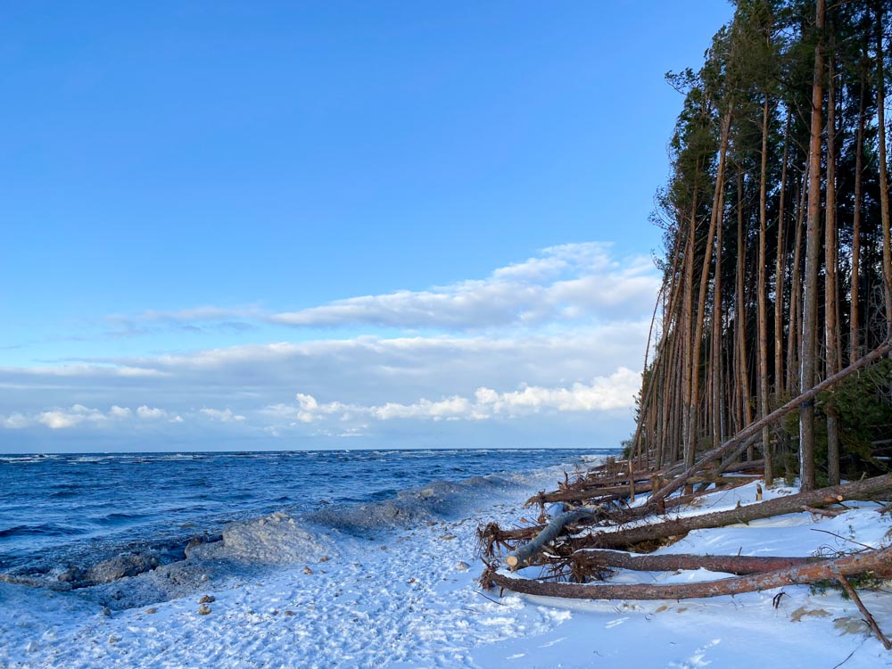 Beach during the winter in Latvia