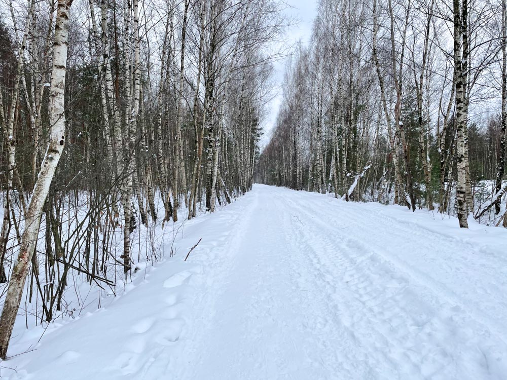 Ziepniekkalns forest hike