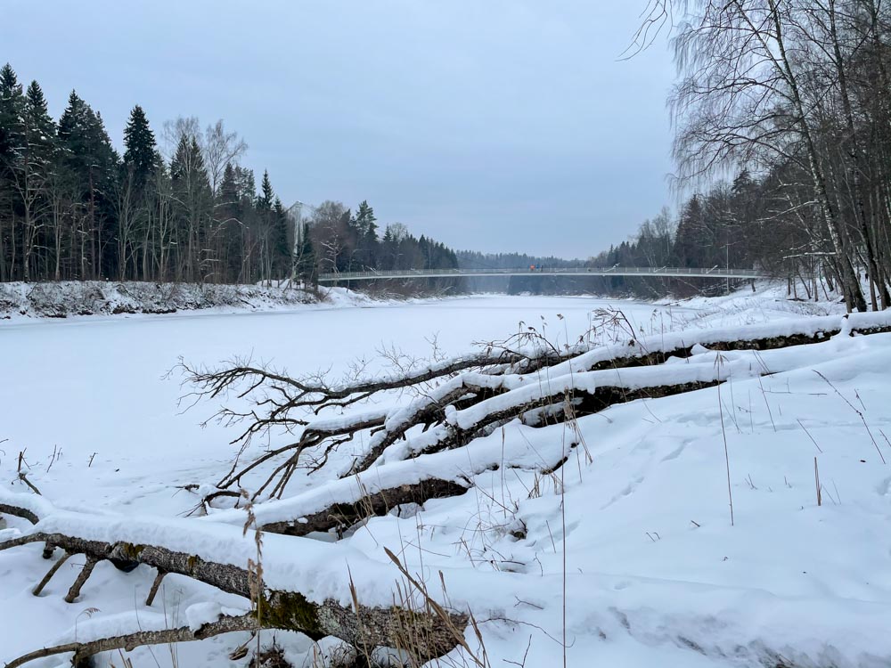 Frozen river Gauja