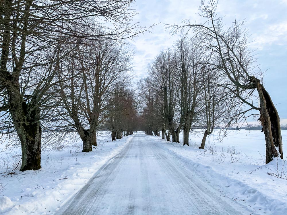 Rural road near Sigulda