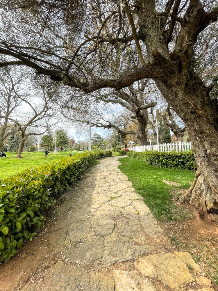 Walks in Fenerbahce Park