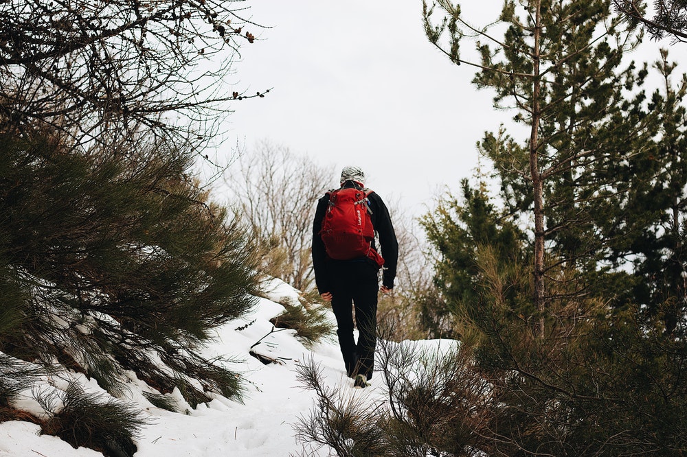 Man hiking in the woods
