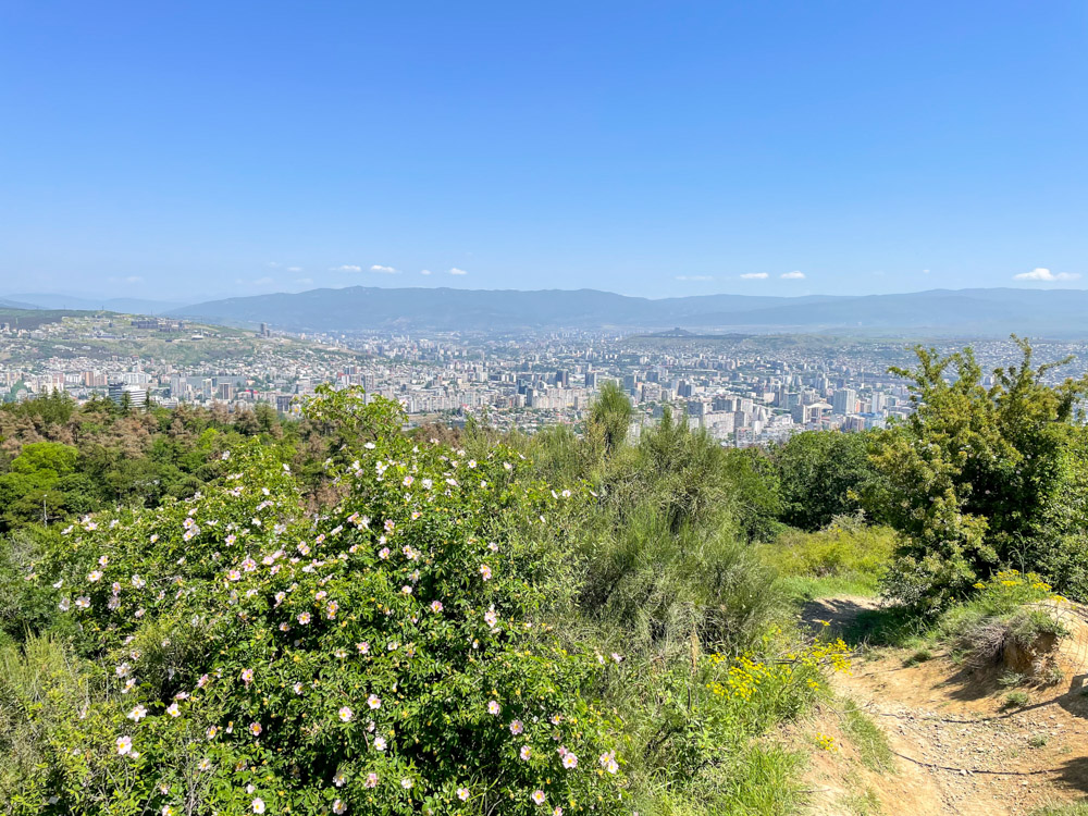 Mountains near Tbilisi