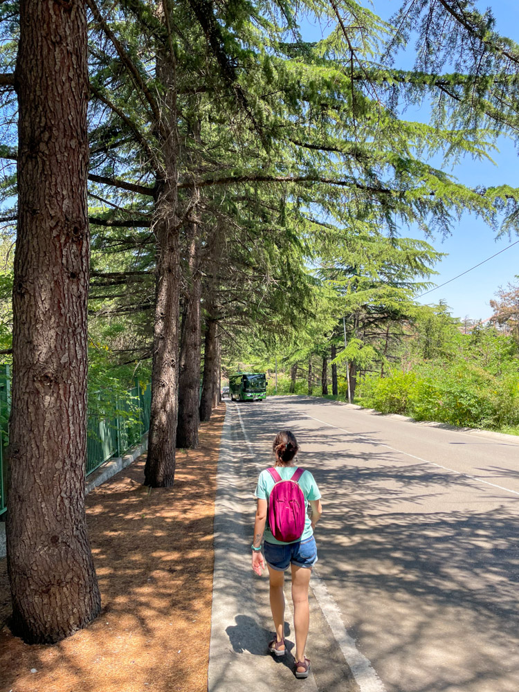 Near Mtatsminda park in Tbilisi