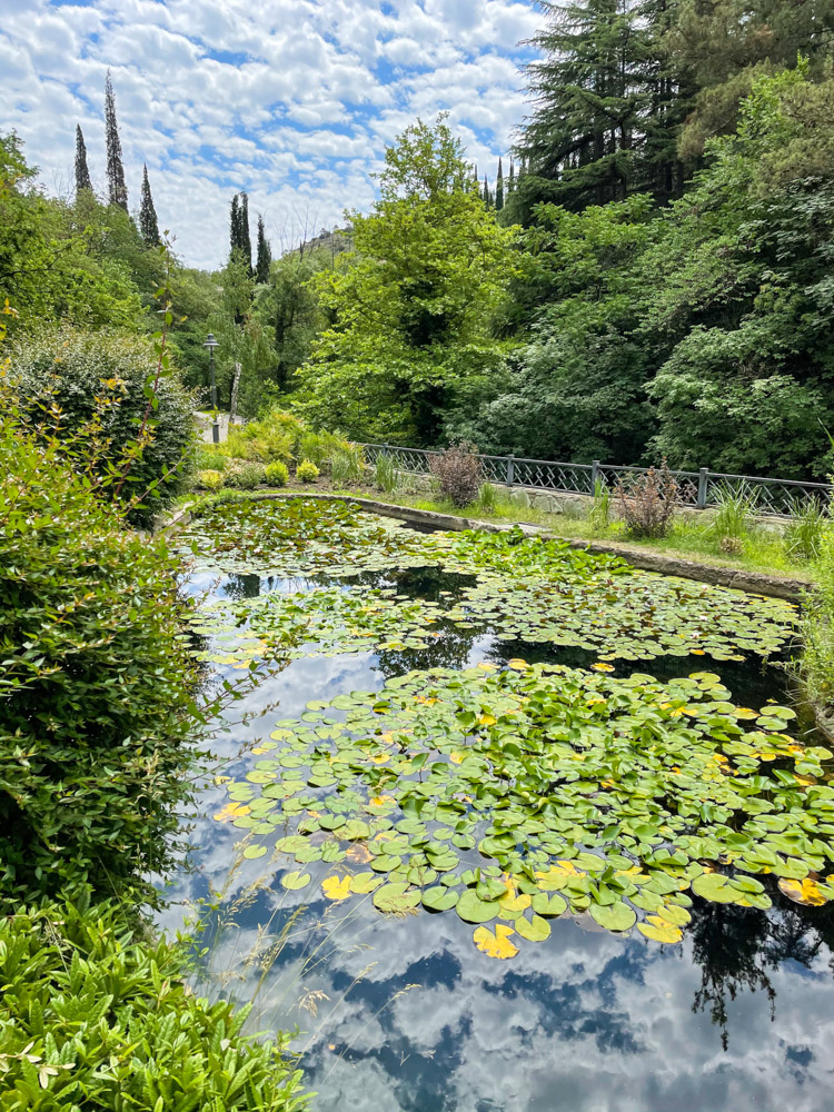 Pond in the National Botanical Garden of Georgia
