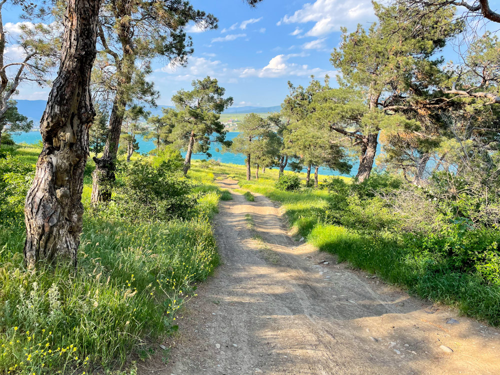 Road near the Tbilisi sea