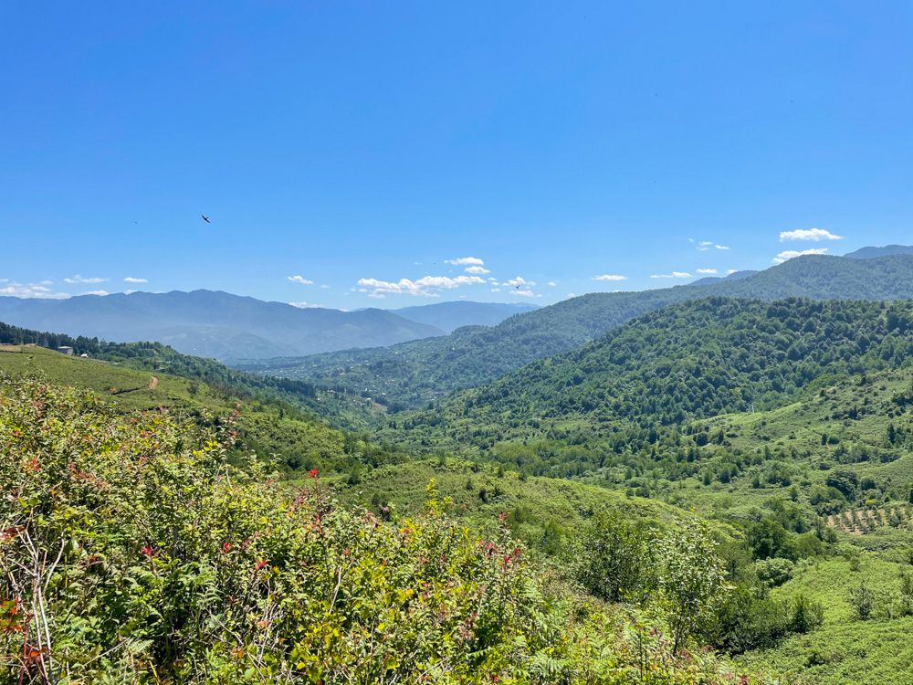 Hills in Georgia