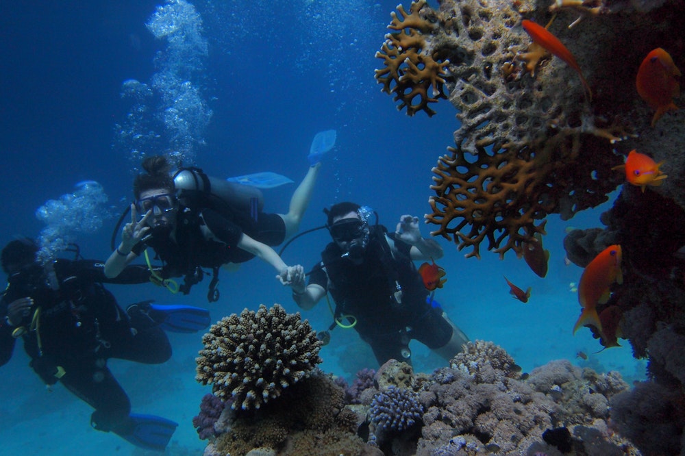 Diving in the Red Sea in Egypt